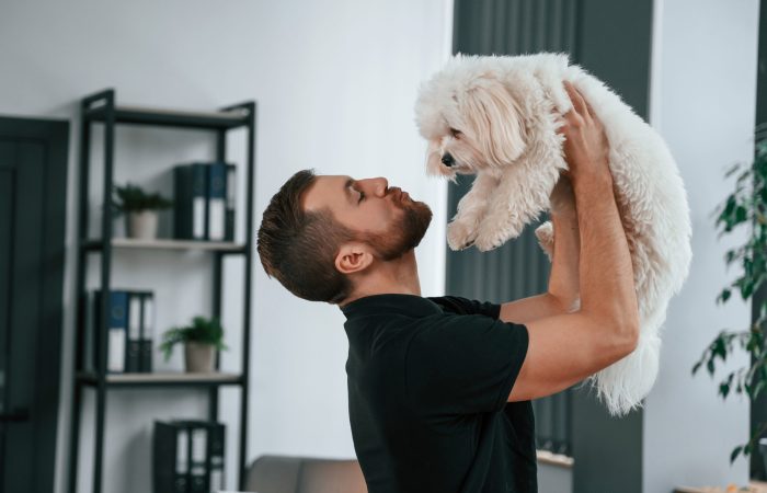 groomer-is-with-maltese-dog-indoors-man-is-in-the-2023-01-19-04-19-41-utc (1)